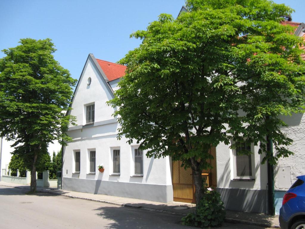 Stieglerhof Kg -Apartments Illmitz- Eksteriør billede